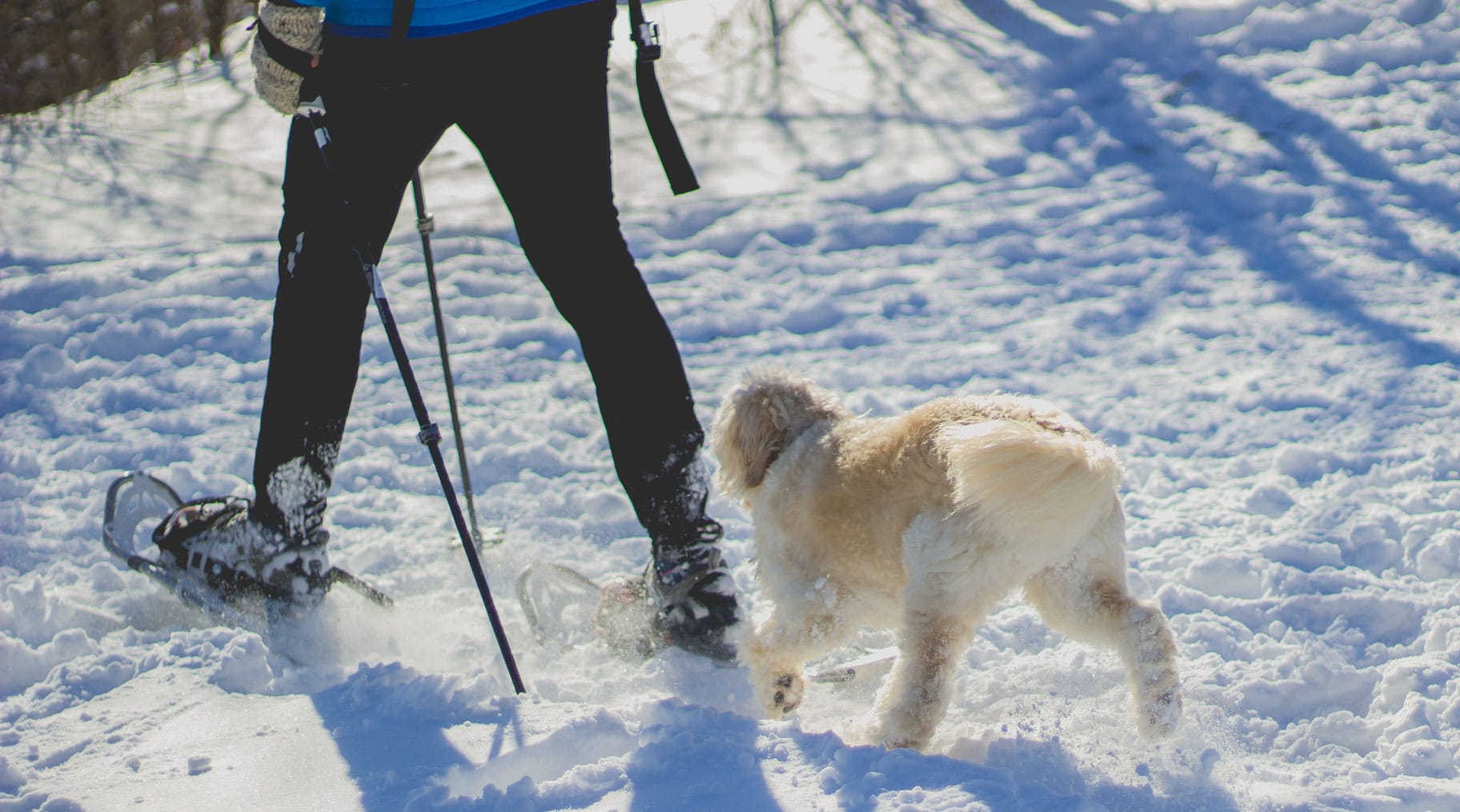 snowshoeing